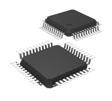 R5F104FDAFP#30